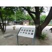 公園