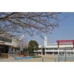 小学校