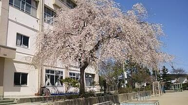 仙台市立金剛沢小学校