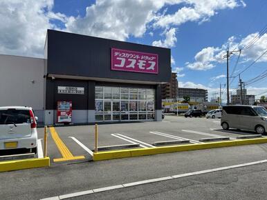 ディスカウントドラッグコスモス古国府店