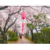 公園