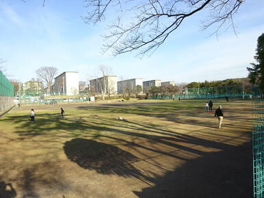 北習志野近隣公園庭球場