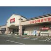 販売店