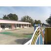 幼稚園、保育園
