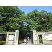 公園