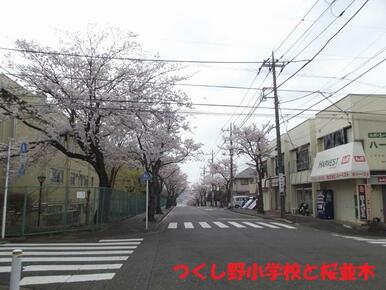 町田市立つくし野小学校