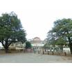 幼稚園、保育園