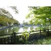 公園
