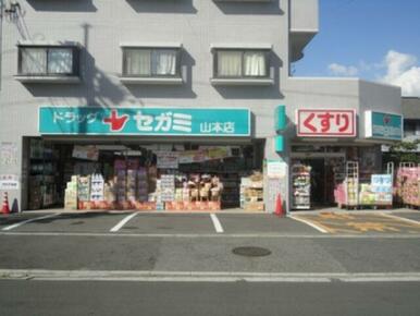 ドラッグセガミ山本店