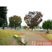公園