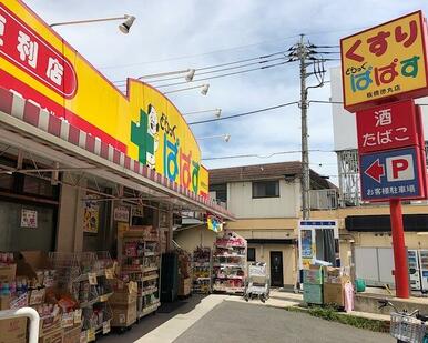 どらっぐぱぱす板橋徳丸店