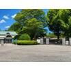 公園