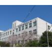 大学