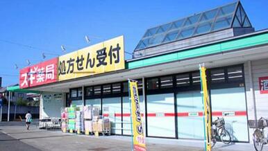 スギ薬局厚木愛甲店