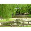 公園