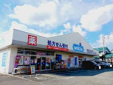 ウエルシア 富士川成島店まで800m