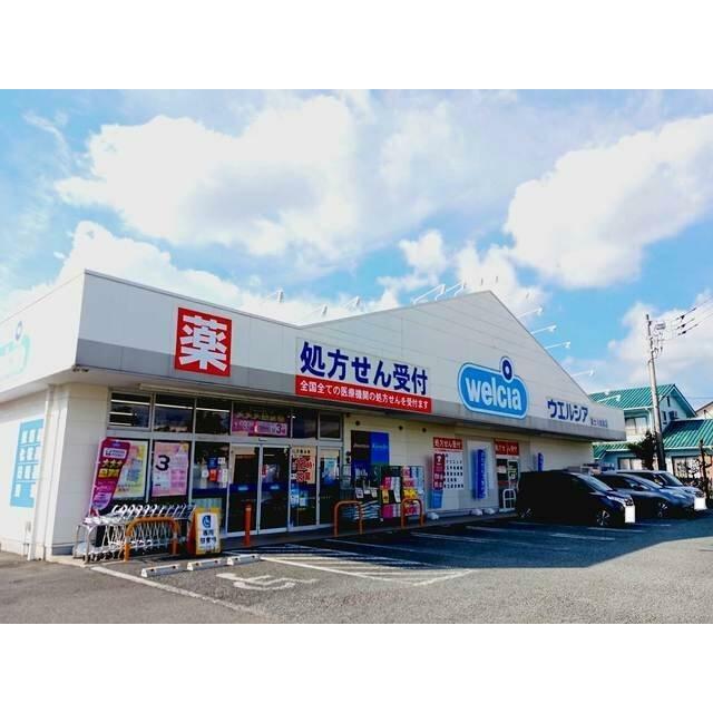 ウエルシア 富士川成島店まで800m
