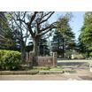 公園