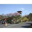 公園