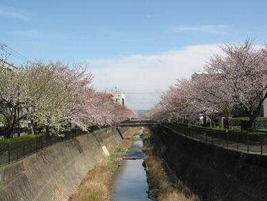 三沢川