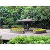 公園