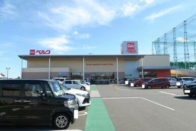 ベルク松戸河原塚店