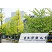 大学