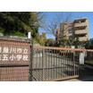 小学校