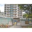 幼稚園、保育園