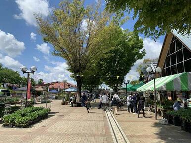 道の駅うつのみやろまんちっく村