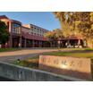 大学