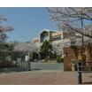 中学校