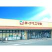 販売店