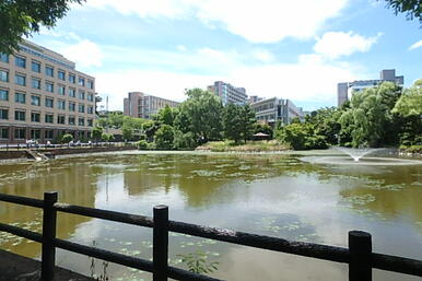 東北医科薬科大学