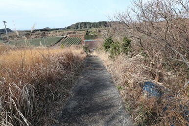 前面の私道です。