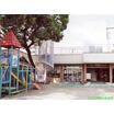 幼稚園、保育園