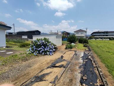 道路より敷地方面