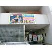 幼稚園、保育園