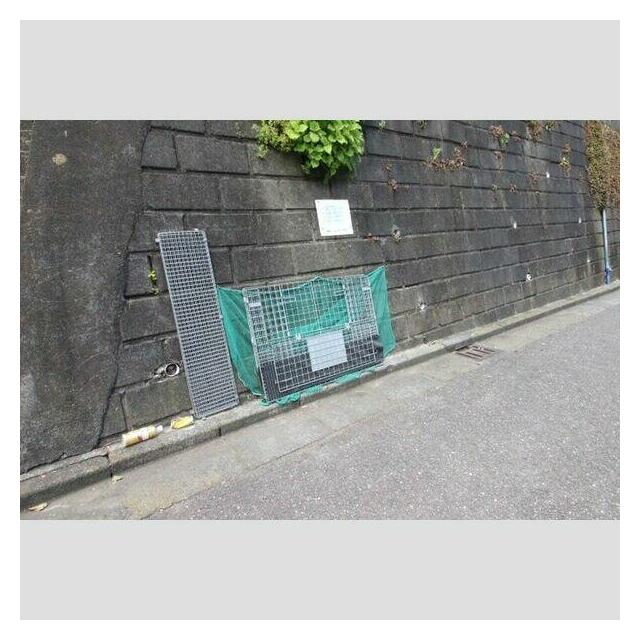 周辺環境