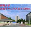 大学