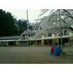 幼稚園、保育園