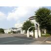 大学