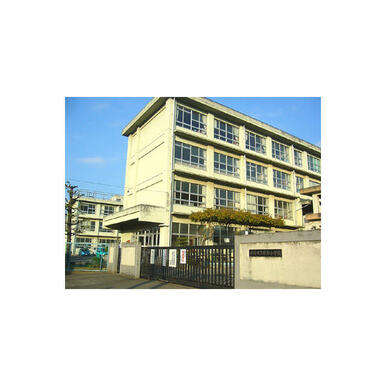 勝原小学校