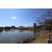 公園