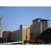 大学