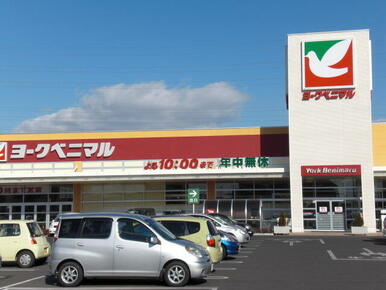 ヨークベニマル小山ゆうえんち店