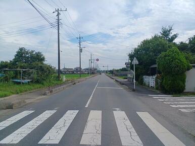 前面道路（東側）