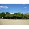 公園