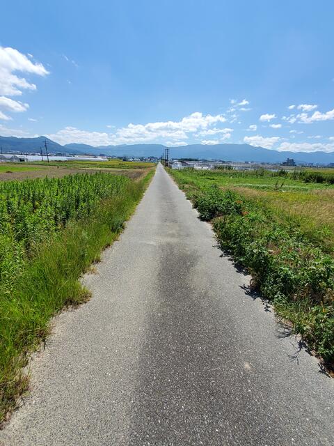 物件画像 福岡市西区 元浜４丁目 (波多江駅) 畑・農地用地