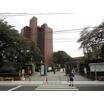 大学